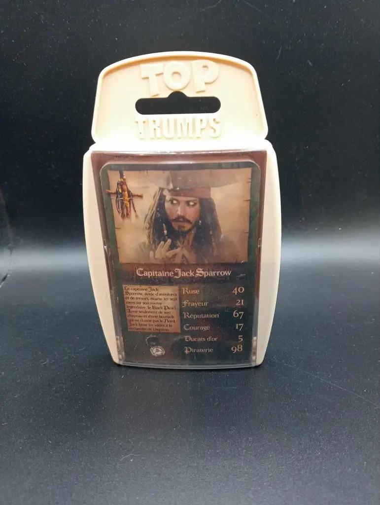 Pirates des caraibes