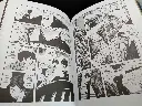 Phénix – L’oiseau de feu – Intégrale Volume 3 📘 Livre en français