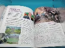 IG Magazine n°17 – Décembre 2011 / Janvier 2012