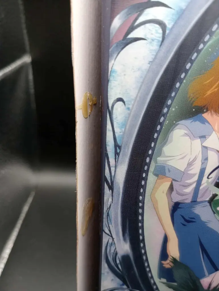 DVD Interlude — édition KAZE