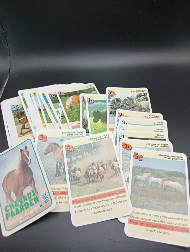 CHEVAUX PAARDEN – Quartet bilingue Hemma, chevaux en cartes et crinières au vent !