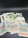 CHEVAUX PAARDEN – Quartet bilingue Hemma, chevaux en cartes et crinières au vent !