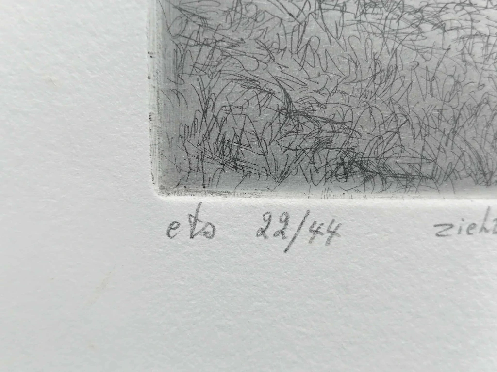 Gravure signée Dehoeters 1992, “Zicht op de Logestraat”, édition limitée 22/44, paysage flamand