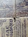 Billet 1000 Marek Polonais – 1919 – Kasa Pożyczkowa – État usé