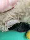 Petit sac porte-clés Kipling en peluche