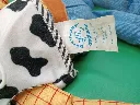 Woody Toy Story.webp