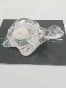 Petite tortue en verre transparent