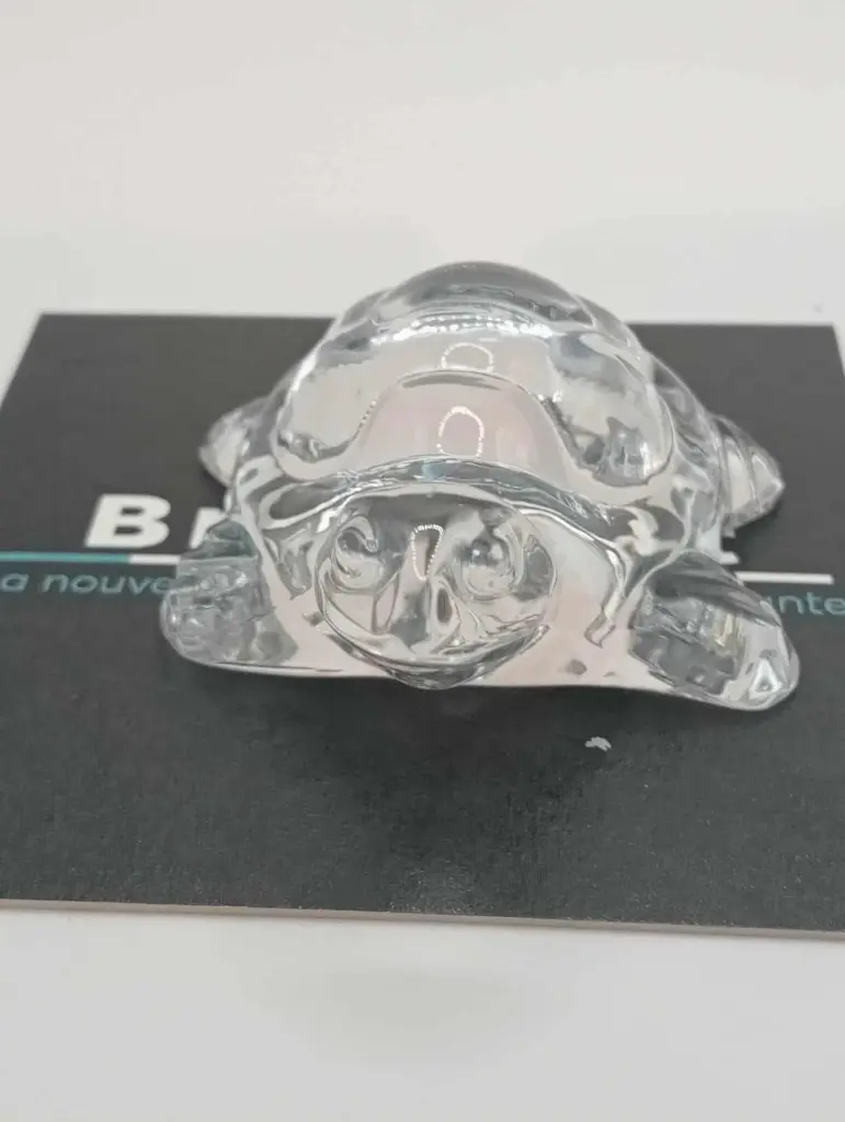 Petite tortue en verre transparent