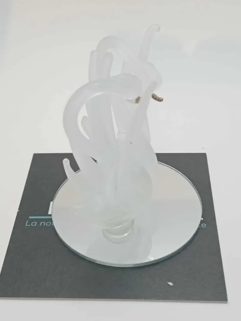 Deux signes en verre mat sur miroir
