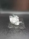 Collection Swan de Swarovski - Cygne petite taille
