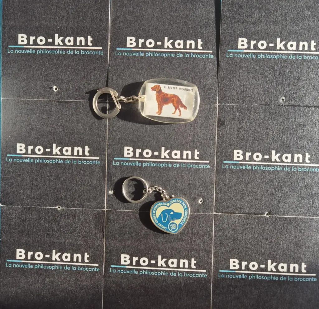 Set van 2 sleutelhangers met hondenthema – Canigou Ron‑Ron (Ierse Setter) & Geleidehonden (2007)