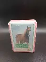 CHEVAUX PAARDEN – Quartetto bilingue Hemma, cavalli in carte e criniere al vento!