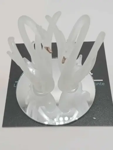 Deux signes en verre mat sur miroir