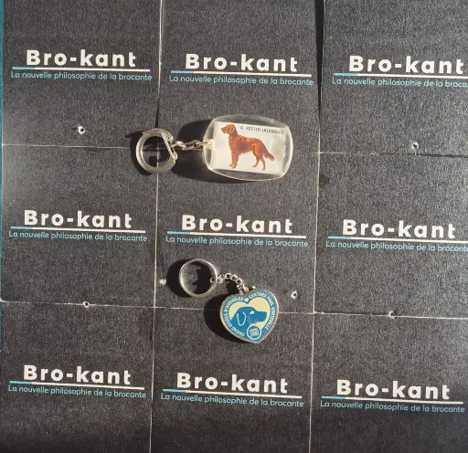 Set of 2 Dog‑Themed Keychains – Canigou Ron‑Ron (Irish Setter) & Guide Dogs (2007)