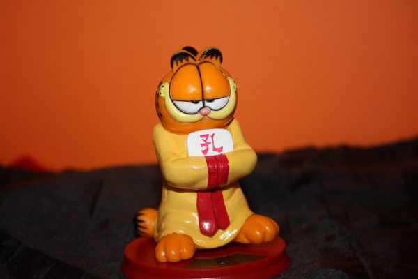 Garfield collection : Confucius