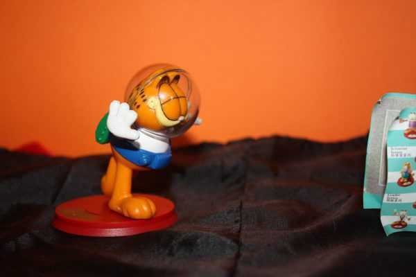 Garfield collection : Braun