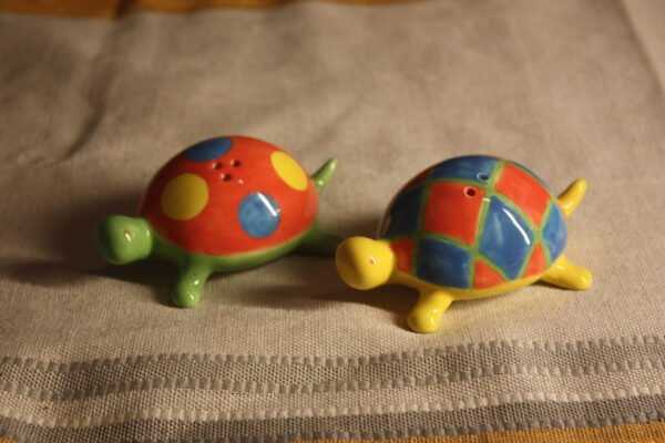 Le sel et le poivre : les tortues multicolores – Image 2