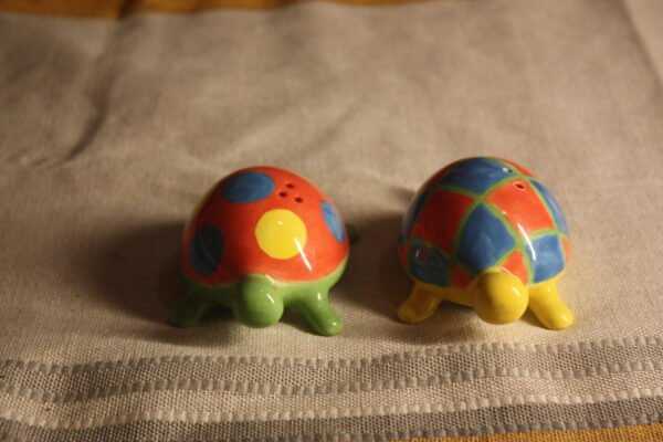 Le sel et le poivre : les tortues multicolores