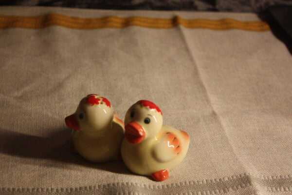 Le sel et le poivre : les canards