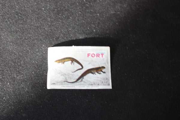 Etiquette de boite d'allumettes : chromos FORT lézard des souches