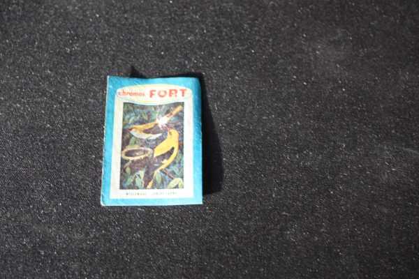 Etiquette de boite d'allumettes : chromos FORT loriot jaune
