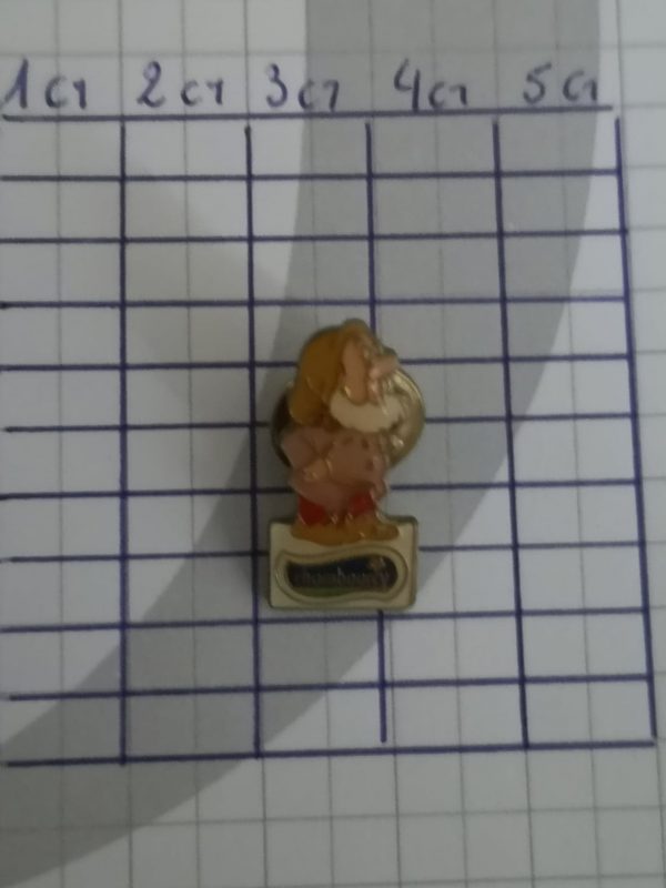 Walt Disney atchoum chambourcy