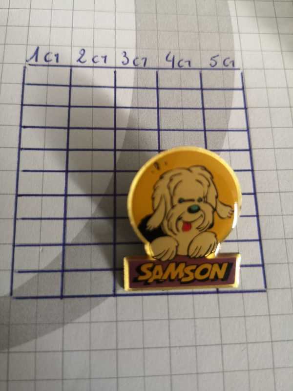 Pin's : Samson fond jaune