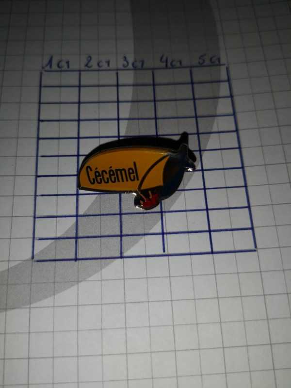 Pin's : cécémel char à voile