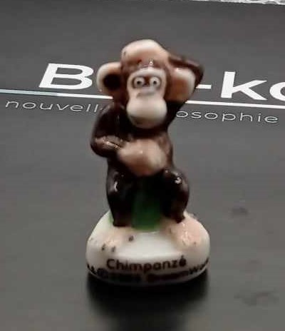 Bro-kant - Fève Chimpanzé . MADAGASCAR 2005